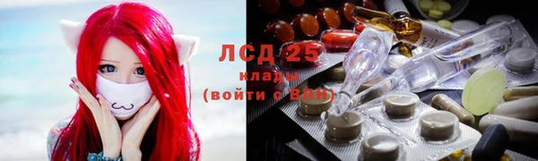 стафф Гусев