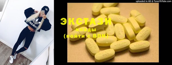 гашик Гусь-Хрустальный