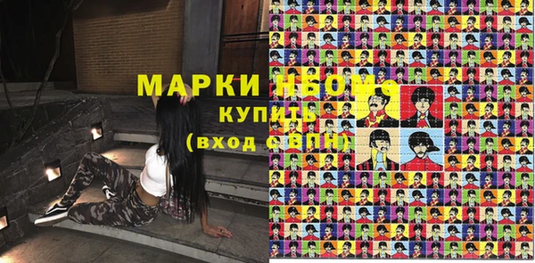 стафф Гусев