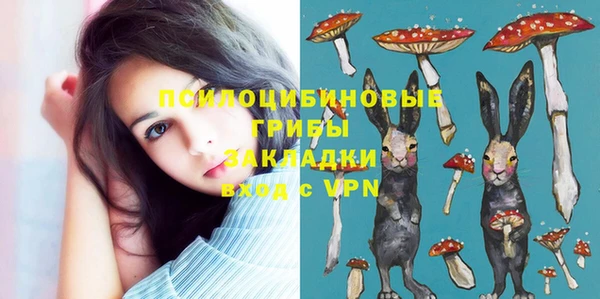 дурь Горнозаводск