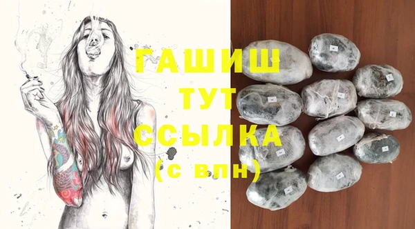 гашик Гусь-Хрустальный