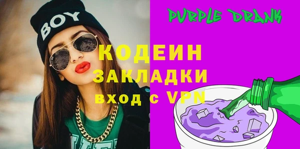 гашик Гусь-Хрустальный